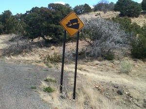 IMG00163-20110406-1239